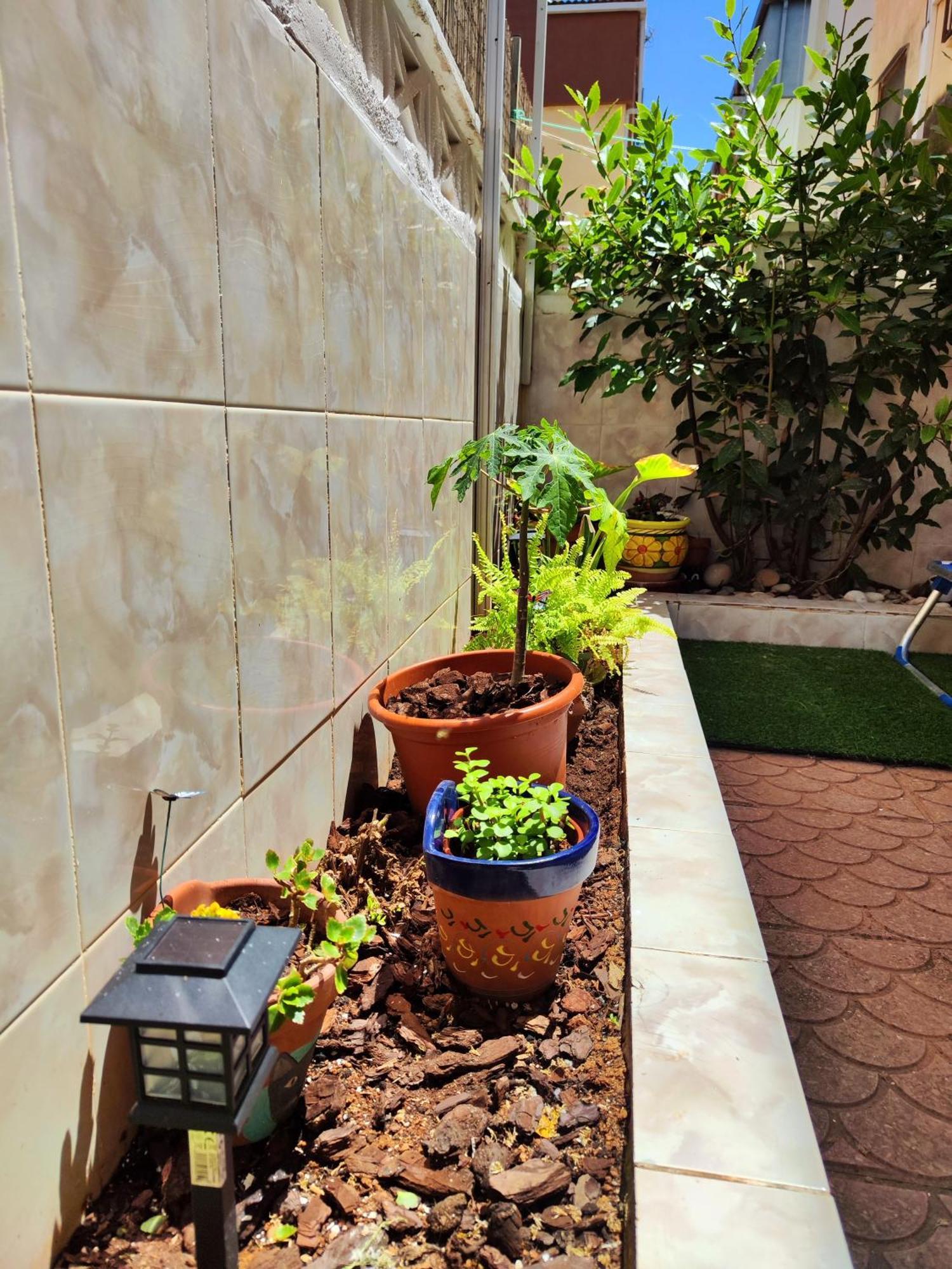 Alce Rincon Del Mar - Planta Baja Con Patio - A 100M Playa Morro De Gos Apartment Oropesa del Mar Exterior foto